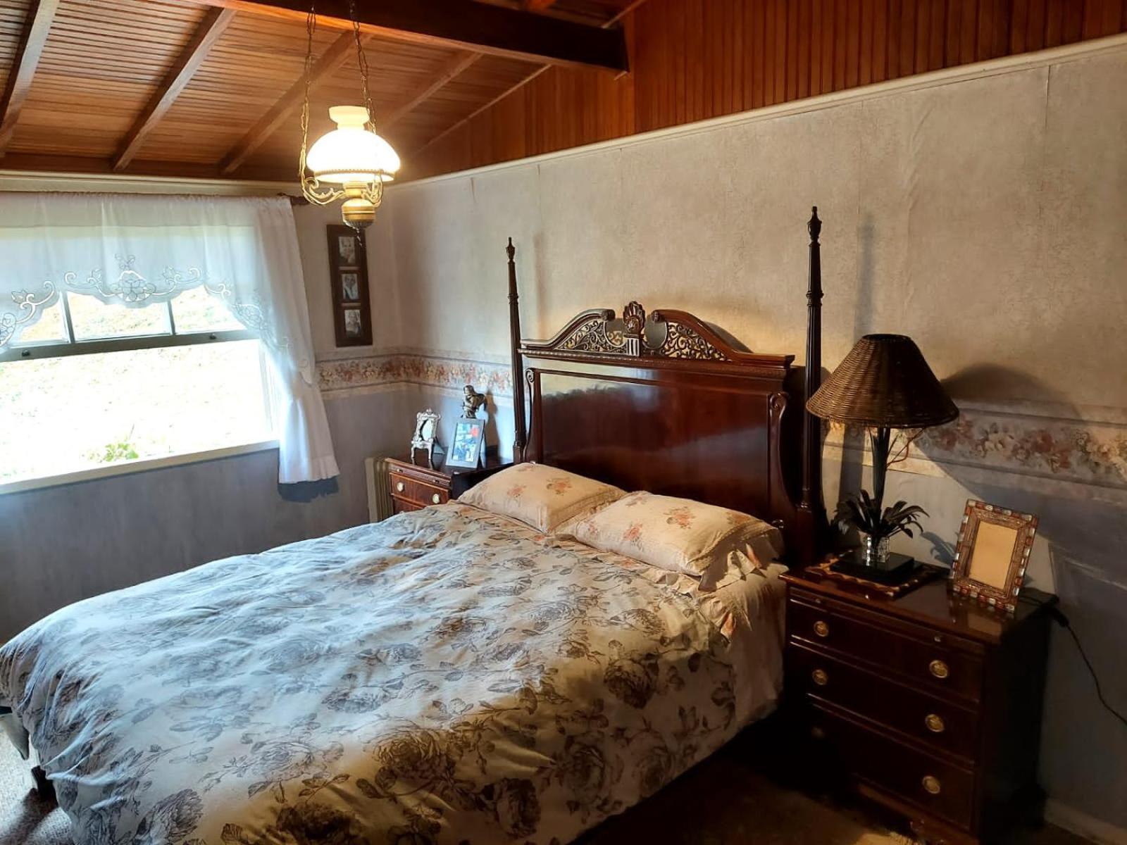 Casa Dos Pinheiros Holiday home