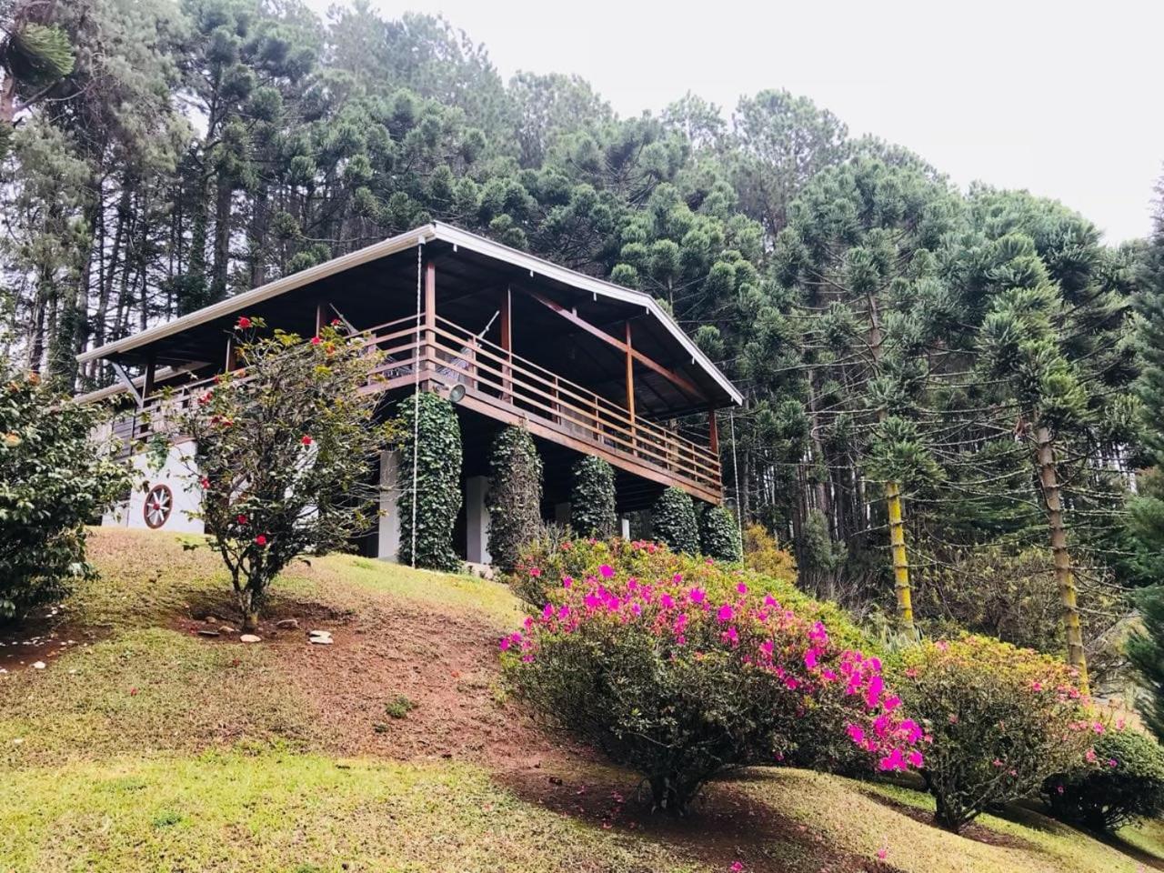Holiday home Casa Dos Pinheiros *